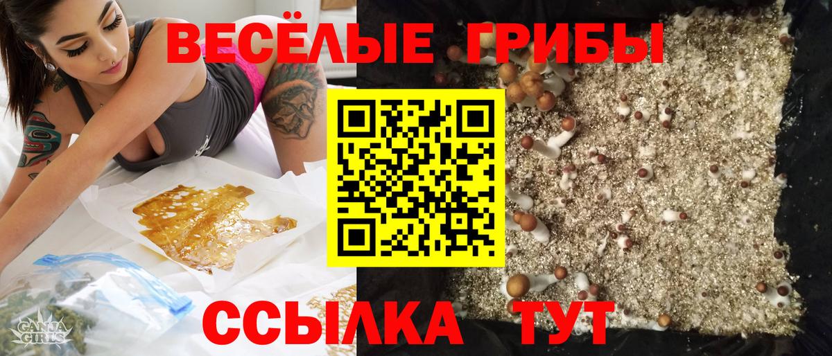 Галлюциногенные грибы прущие грибы Кировск